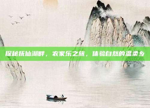 探秘抚仙湖畔,农家乐之旅,体验自然的温柔乡