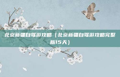 北京新疆自驾游攻略（北京新疆自驾游攻略完整版15天）