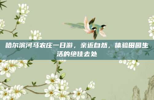 哈尔滨河马农庄一日游，亲近自然，体验田园生活的绝佳去处