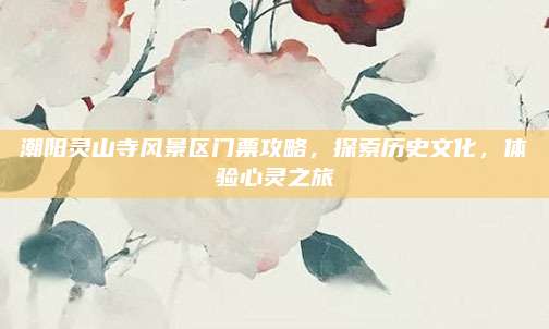 潮阳灵山寺风景区门票攻略,探索历史文化,体验心灵之旅