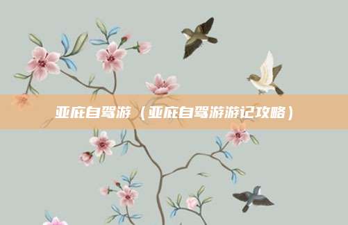 亚庇自驾游(亚庇自驾游游记攻略)