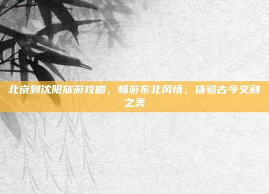 北京到沈阳旅游攻略，畅游东北风情，体验古今交融之美