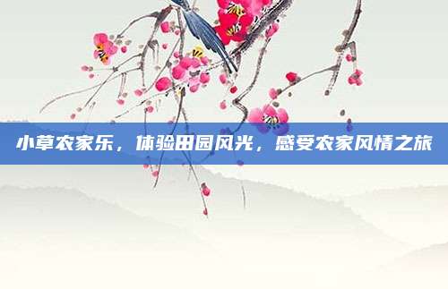 小草农家乐，体验田园风光，感受农家风情之旅