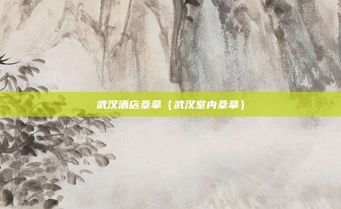武汉酒店桑拿(武汉室内桑拿)