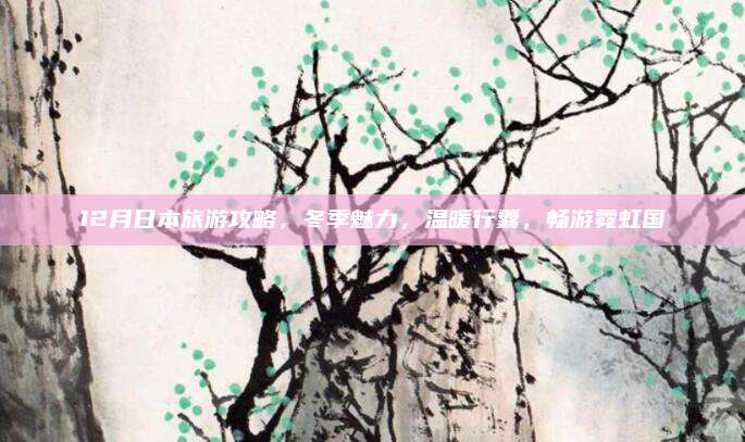 12月日本旅游攻略，冬季魅力，温暖行囊，畅游霓虹国