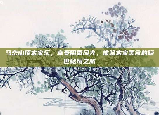 马峦山顶农家乐，享受田园风光，体验农家美食的隐世秘境之旅