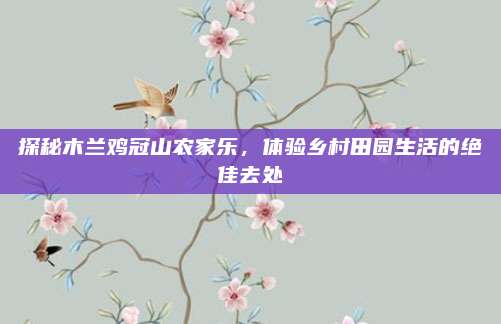 探秘木兰鸡冠山农家乐，体验乡村田园生活的绝佳去处