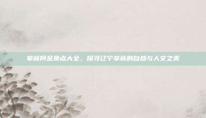 阜新阿金景点大全，探寻辽宁阜新的自然与人文之美