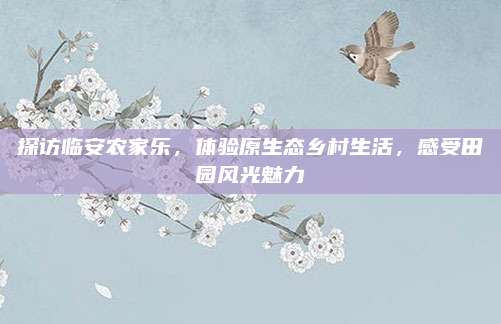 探访临安农家乐，体验原生态乡村生活，感受田园风光魅力