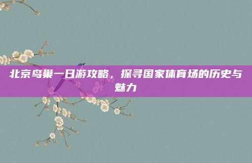北京鸟巢一日游攻略，探寻国家体育场的历史与魅力