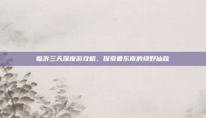 临沂三天深度游攻略，探索鲁东南的绿野仙踪