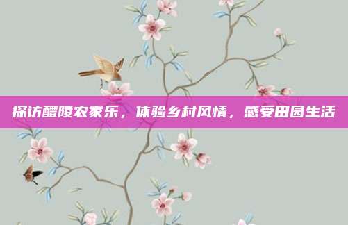 探访醴陵农家乐，体验乡村风情，感受田园生活