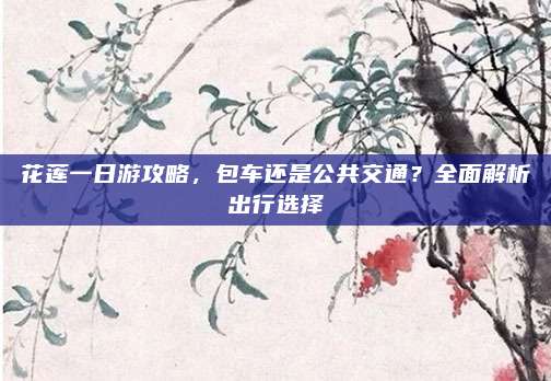 花莲一日游攻略，包车还是公共交通？全面解析出行选择