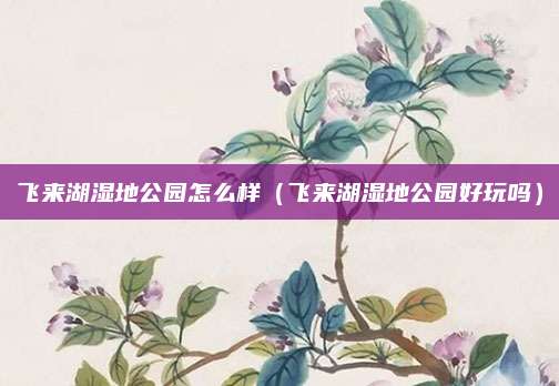 飞来湖湿地公园怎么样（飞来湖湿地公园好玩吗）
