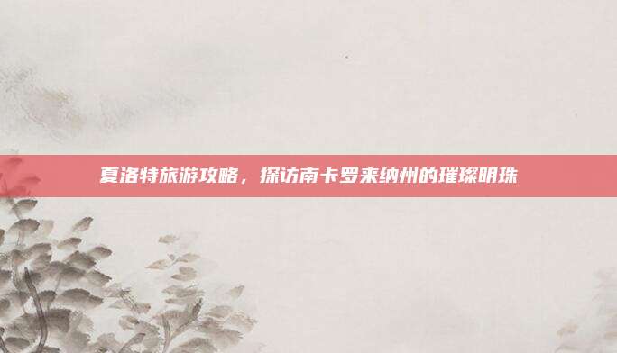 夏洛特旅游攻略，探访南卡罗来纳州的璀璨明珠