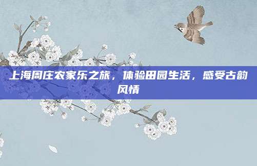 上海周庄农家乐之旅，体验田园生活，感受古韵风情