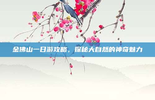 金佛山一日游攻略，探秘大自然的神奇魅力