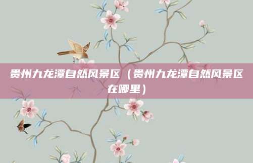 贵州九龙潭自然风景区（贵州九龙潭自然风景区在哪里）