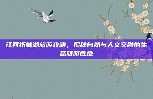 江西拓林湖旅游攻略，揭秘自然与人文交融的生态旅游胜地