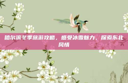 哈尔滨冬季旅游攻略，感受冰雪魅力，探索东北风情
