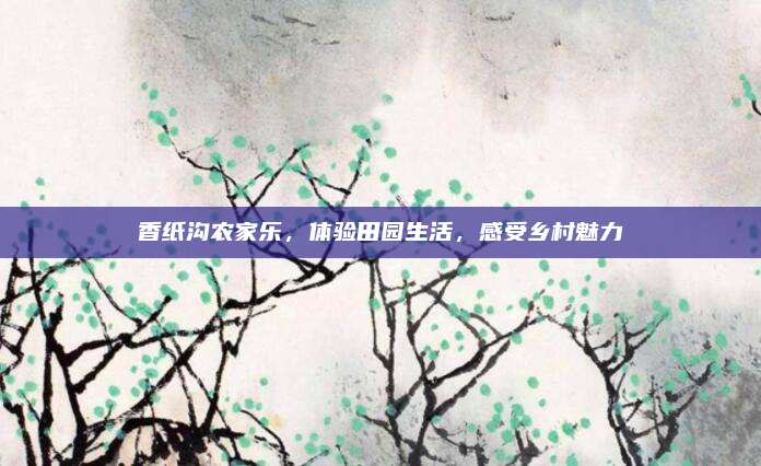 香纸沟农家乐，体验田园生活，感受乡村魅力