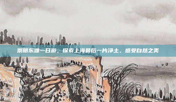 崇明东滩一日游，探索上海最后一片净土，感受自然之美