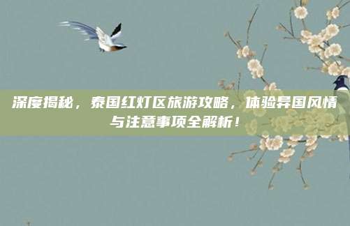 深度揭秘，泰国红灯区旅游攻略，体验异国风情与注意事项全解析！