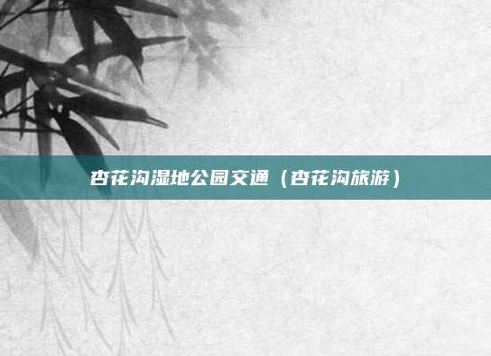 杏花沟湿地公园交通(杏花沟旅游)