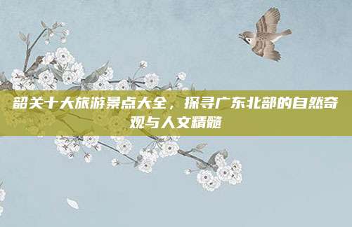韶关十大旅游景点大全，探寻广东北部的自然奇观与人文精髓