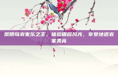 崇明岛农家乐之王，体验田园风光，享受地道农家美食