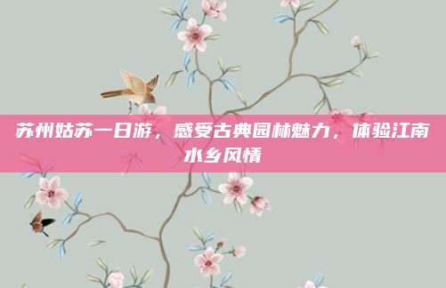 苏州姑苏一日游，感受古典园林魅力，体验江南水乡风情