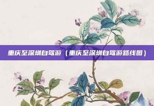 重庆至深圳自驾游（重庆至深圳自驾游路线图）