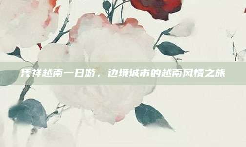 凭祥越南一日游，边境城市的越南风情之旅