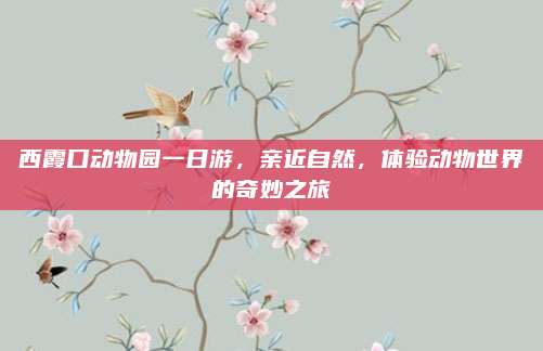 西霞口动物园一日游，亲近自然，体验动物世界的奇妙之旅