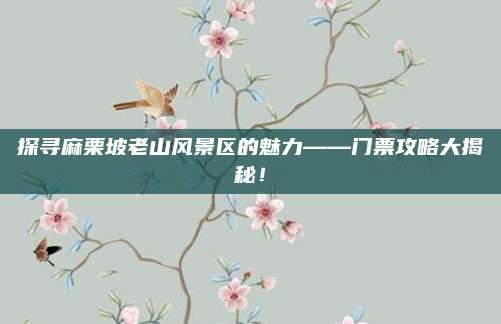 探寻麻栗坡老山风景区的魅力——门票攻略大揭秘！