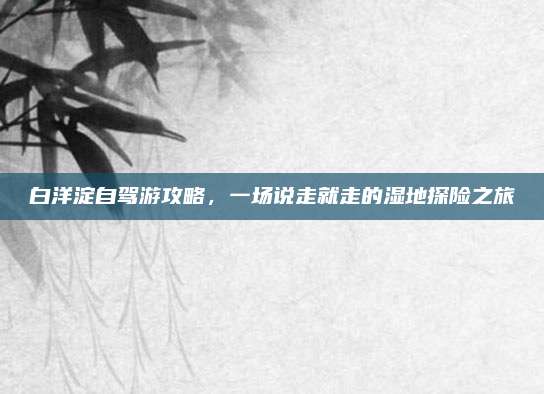 白洋淀自驾游攻略，一场说走就走的湿地探险之旅