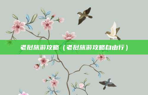 老挝旅游攻略(老挝旅游攻略自由行)