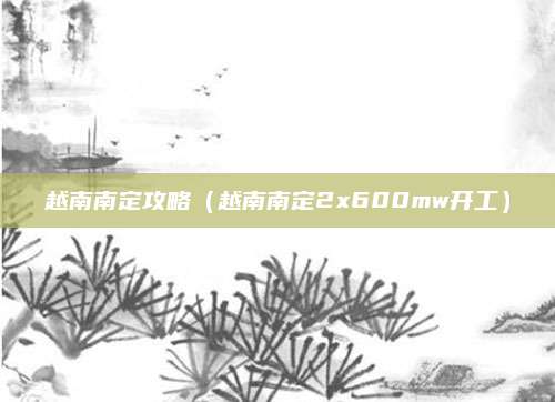 越南南定攻略(越南南定2x600mw开工)