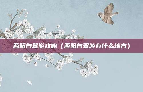 酉阳自驾游攻略(酉阳自驾游有什么地方)