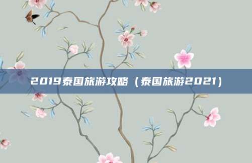 2019泰国旅游攻略(泰国旅游2021)