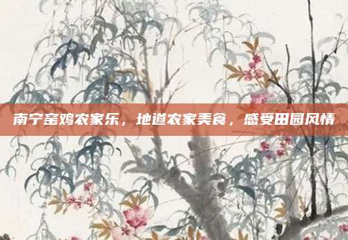南宁窑鸡农家乐,地道农家美食,感受田园风情