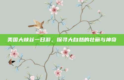 美国大峡谷一日游,探寻大自然的壮丽与神奇