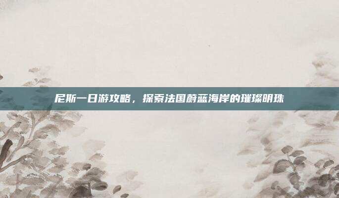尼斯一日游攻略,探索法国蔚蓝海岸的璀璨明珠