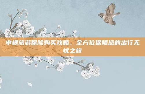 申根旅游保险购买攻略,全方位保障您的出行无忧之旅