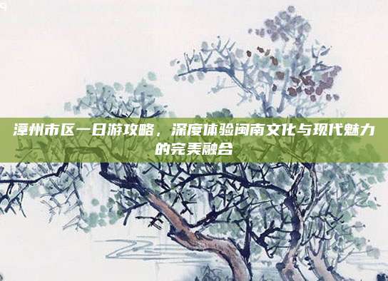 漳州市区一日游攻略,深度体验闽南文化与现代魅力的完美融合