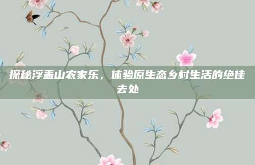 探秘浮盖山农家乐，体验原生态乡村生活的绝佳去处