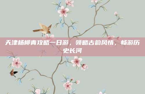 天津杨柳青攻略一日游，领略古韵风情，畅游历史长河