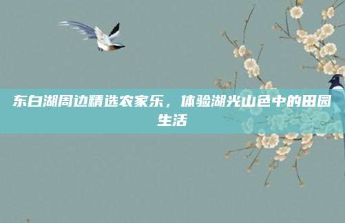东白湖周边精选农家乐,体验湖光山色中的田园生活
