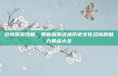 沧州旅游攻略，带你探索这座历史文化名城的魅力景点大全