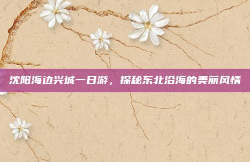 沈阳海边兴城一日游，探秘东北沿海的美丽风情
